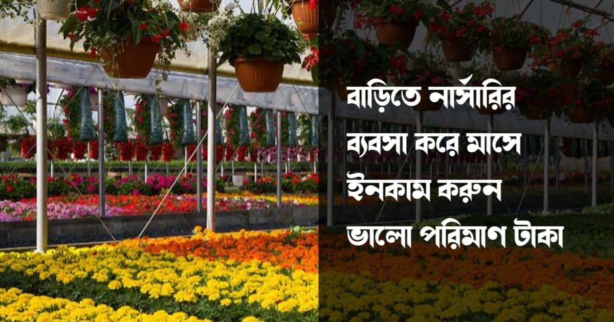 বাড়িতে নার্সারির ব্যবসা করে মাসে ইনকাম করুন ভালো পরিমাণ টাকা